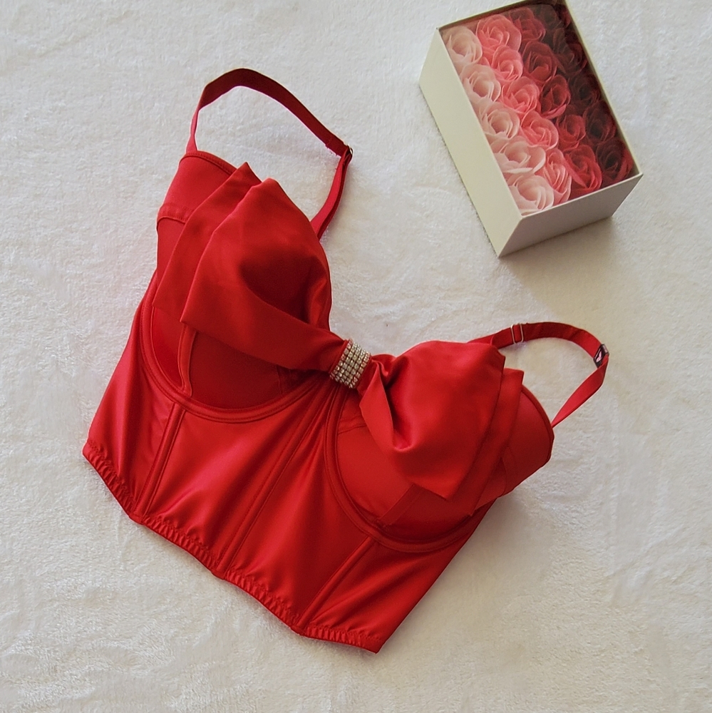 VICTORIA'S SECRET NEW CORSET - Picture 2 of 16